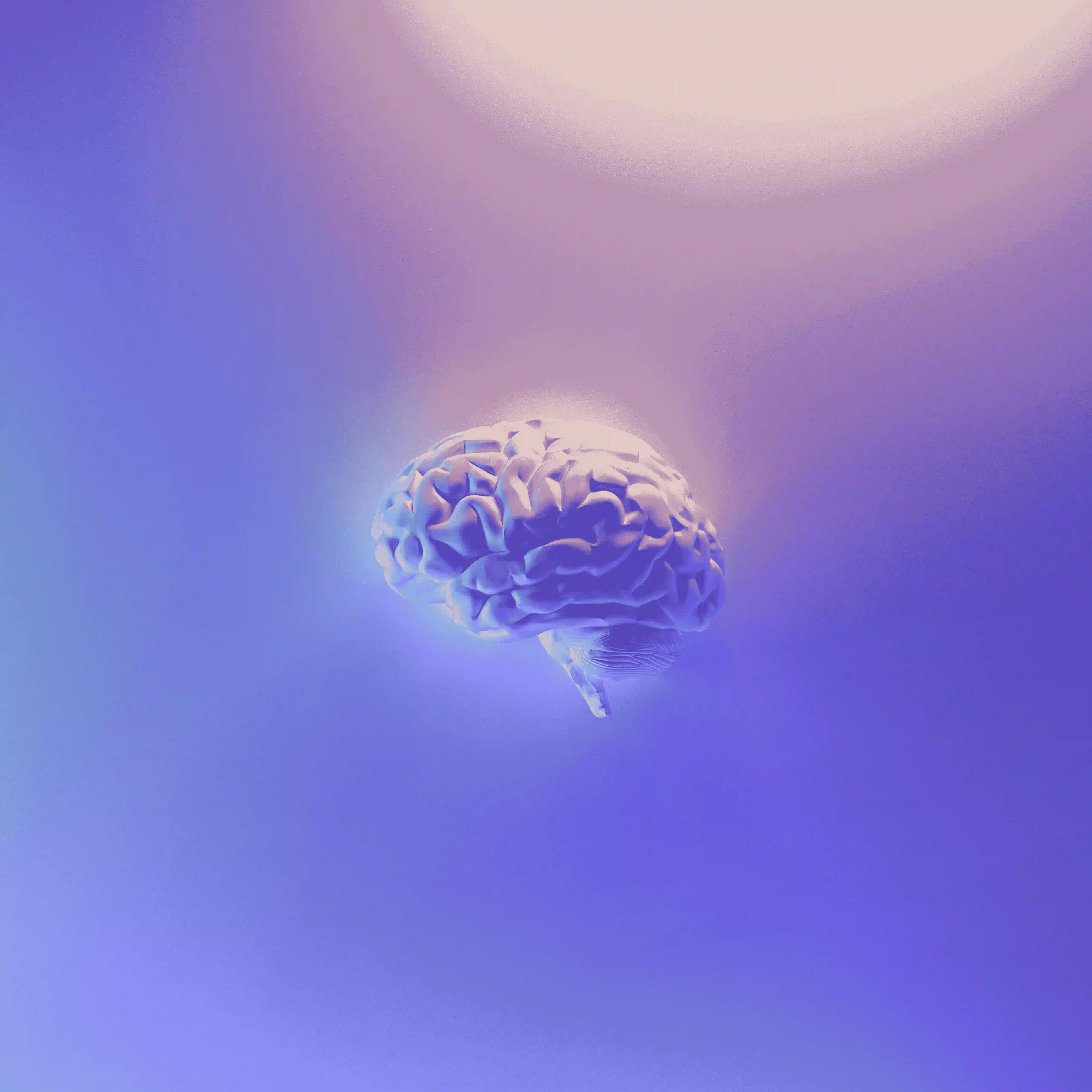 PistPist community 122